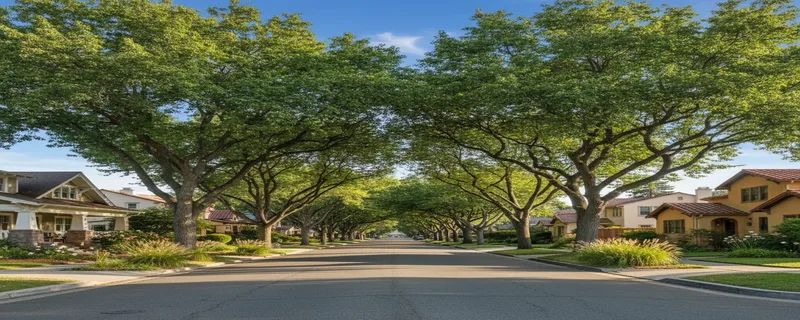 Sacramento, CA neighborhood